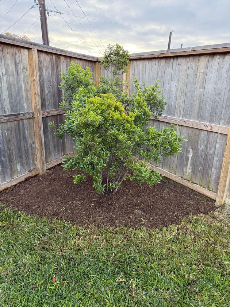 All Photos for Texas Curb N Borders in Houston, TX