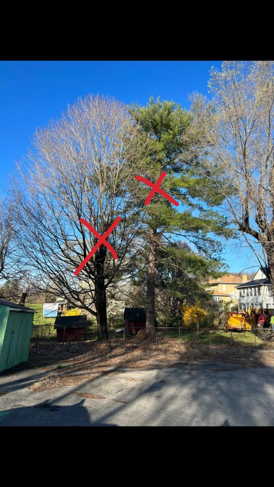 All Photos for NRV Tree Pro, LLC in Narrows, VA