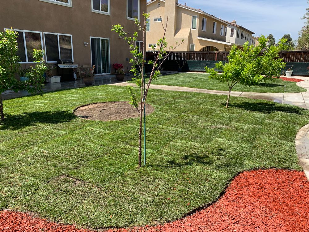 Sod Installations for Aidan Jade Landscaping in Riverside County, CA