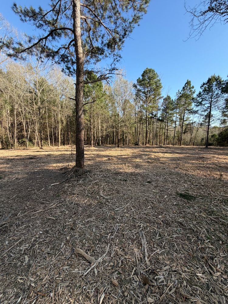 All Photos for 903 Mulching in East Mountain, TX