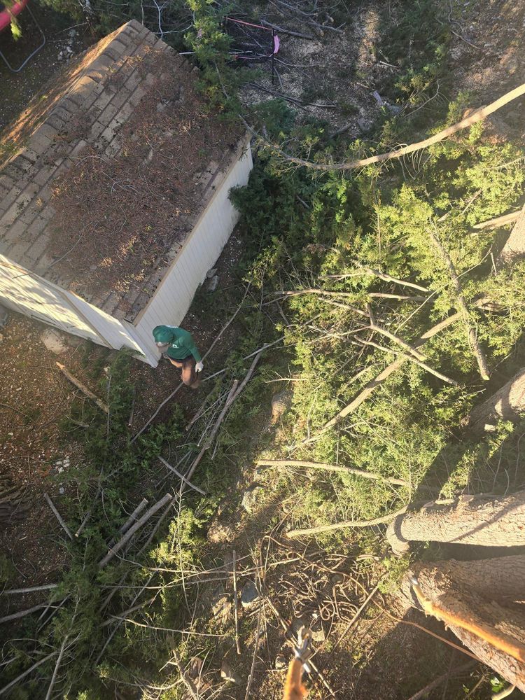 All Photos for Terra Heights Tree Experts & Landscaping  in Grass Valley,  CA