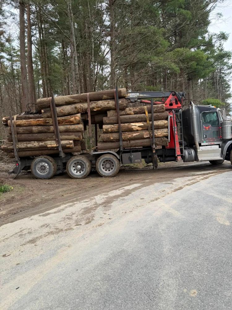Our professional logging service safely removes selected trees, clears wooded areas, and manages timber efficiently. We protect your property, improve land usability, and complete every project with careful planning. for Brax Forestry in Endicott, NY