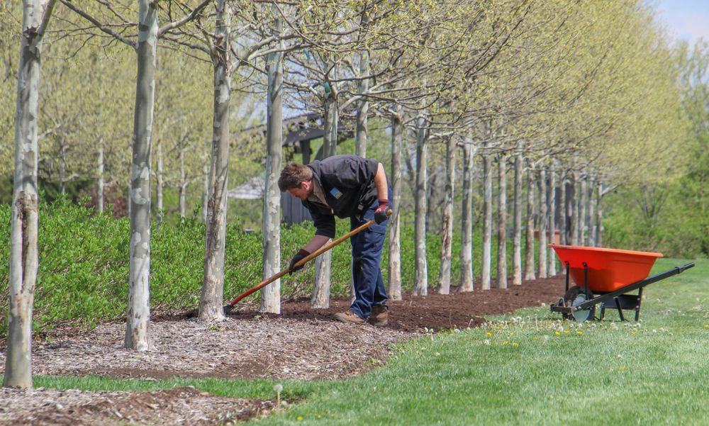 Landscape for W D Giampa Lawns and Landscape Inc. in Manassas, VA