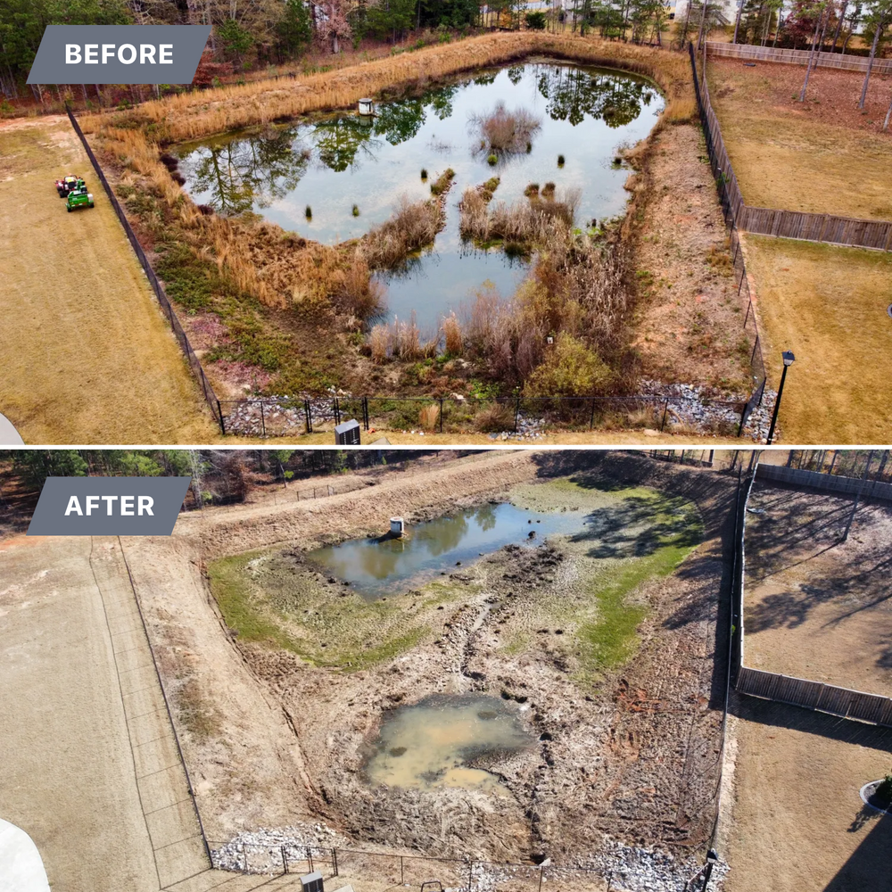 Brush Cutting and Removal for Fayette Property Solutions in Fayetteville, GA