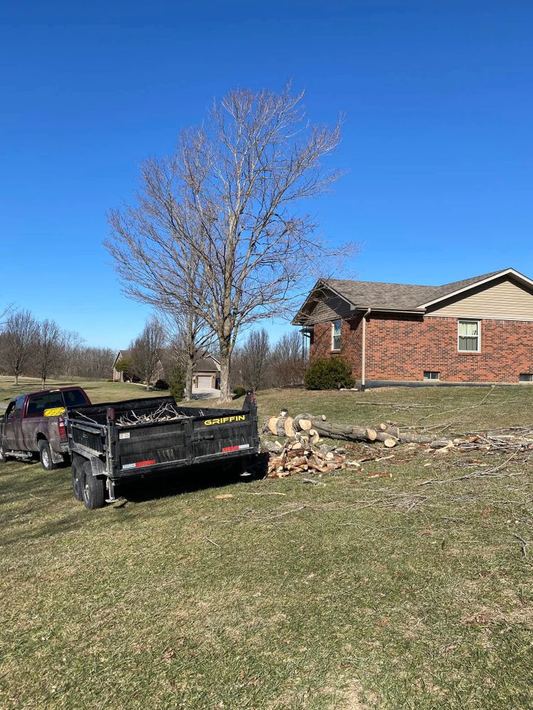Tree Removal for Houtz Tree Service in Lexington, KY
