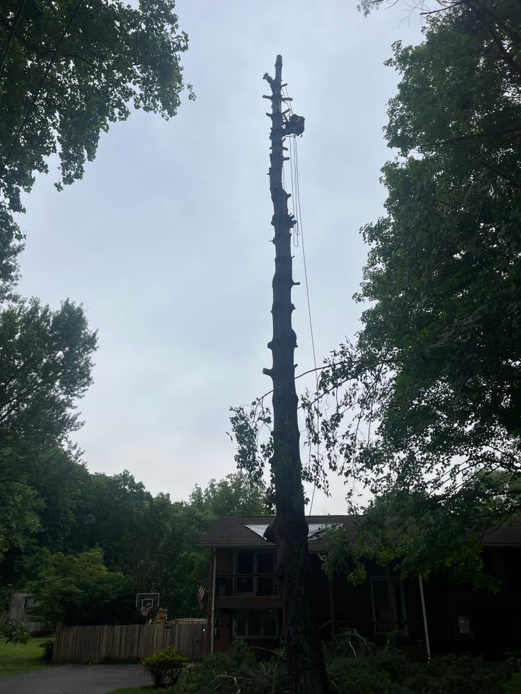 All Photos for Taylors Enterprises in Johnson City, TN