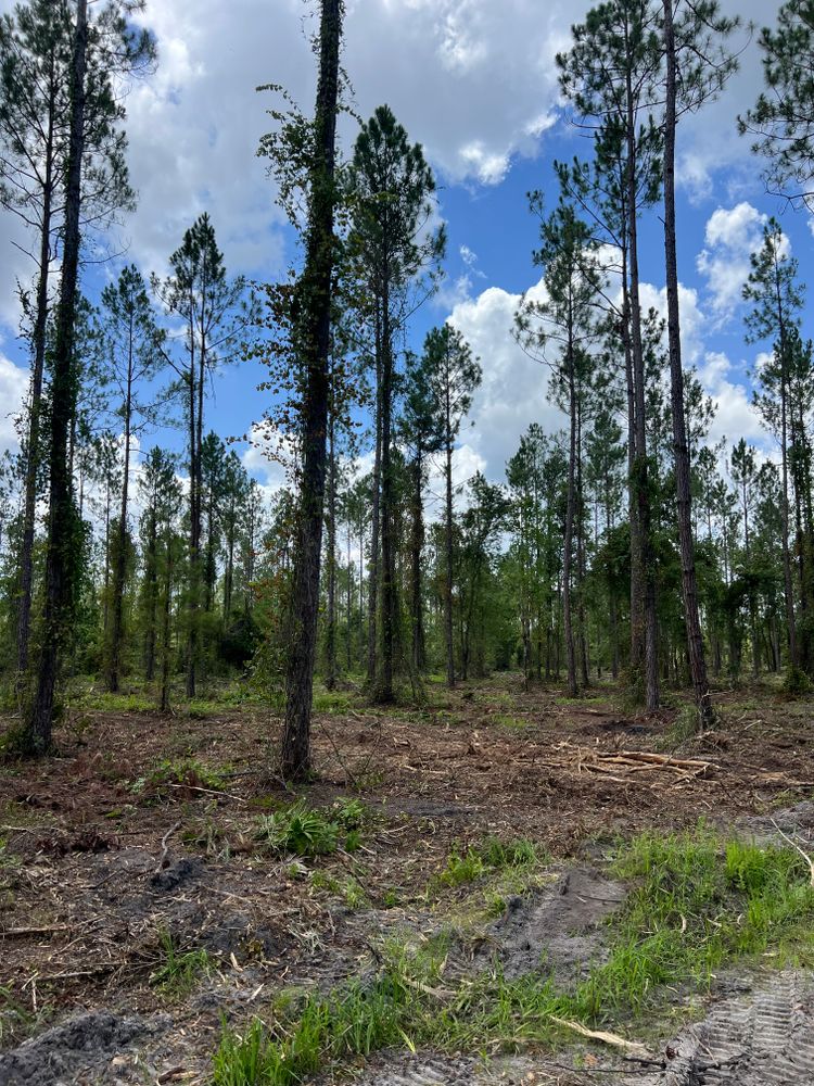 All Photos for Bay Hill Development in Nahunta, GA