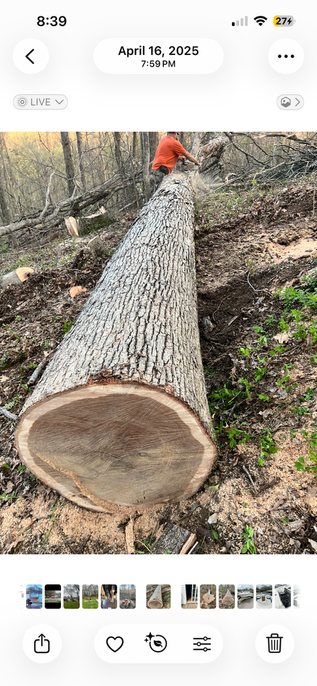 All Photos for Kadin’s Tree Service in North Vernon, IN