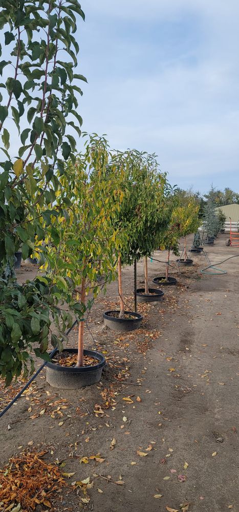 All Photos for Mike's Grading Plus in Caldwell, ID