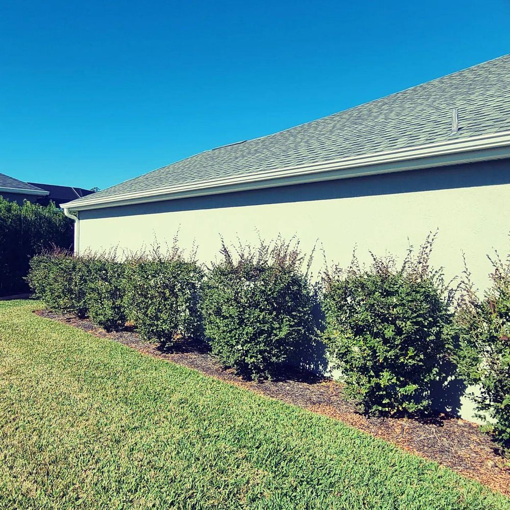 All Photos for TopNotch Landscaping Services  in The Villages, FL