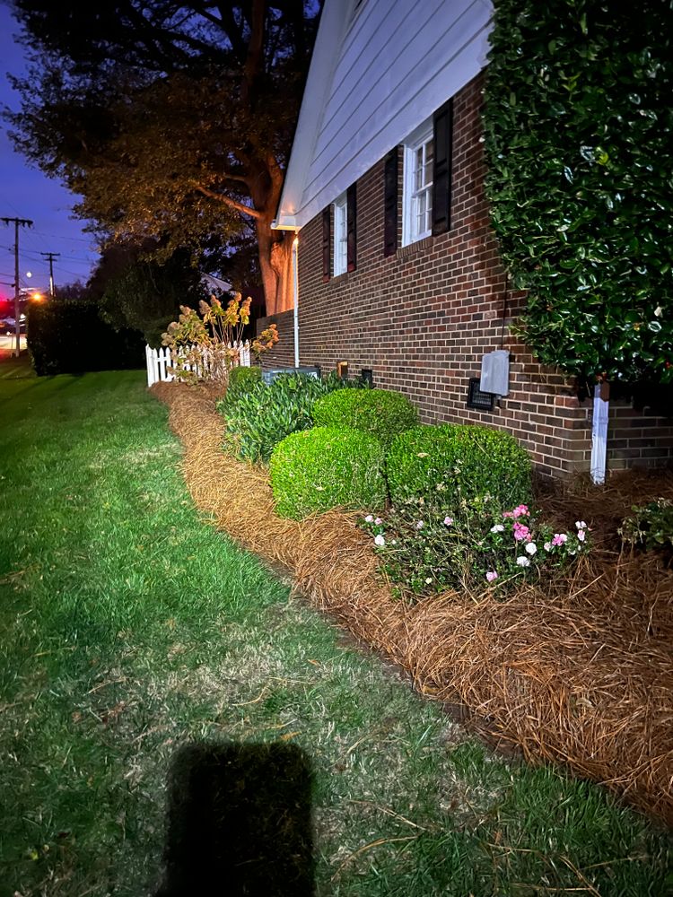 Pine Needle Installation for Dream Cuts Landscaping and Lawn Care LLC in Gastonia, NC