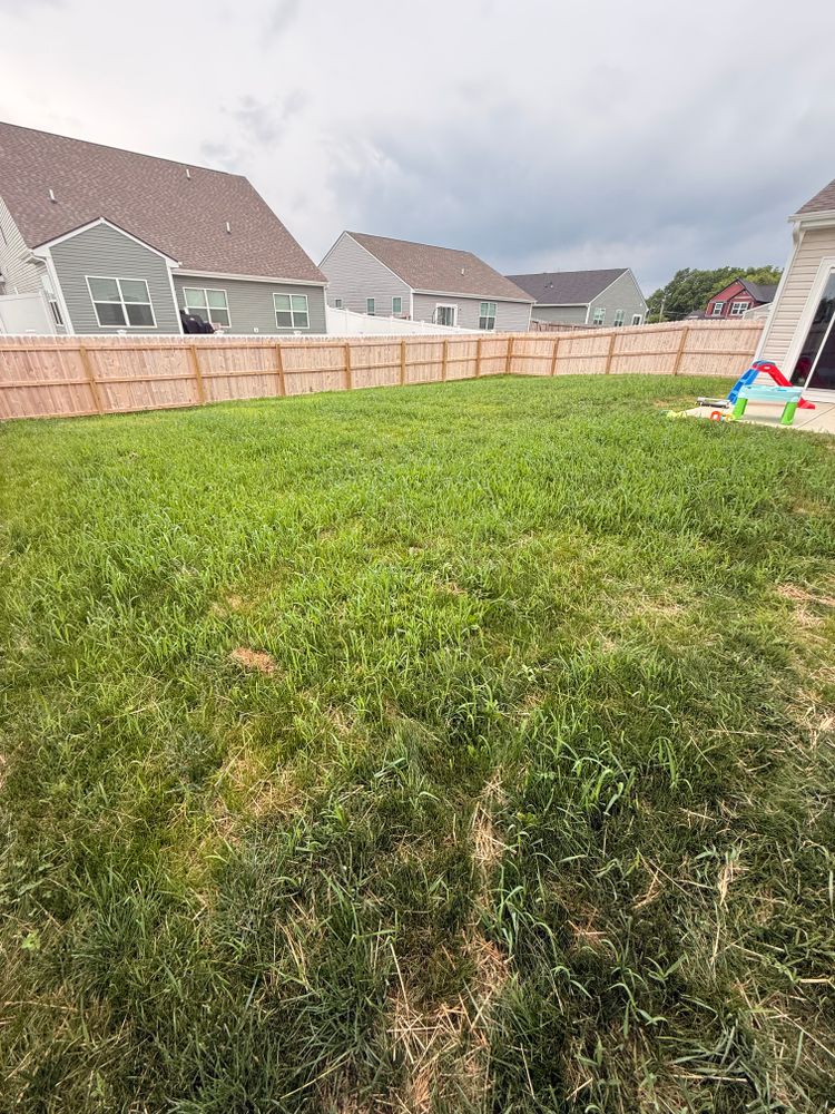 Lawn Seeding & Over-seeding for Sneed & Co LLC in Kokomo, IN