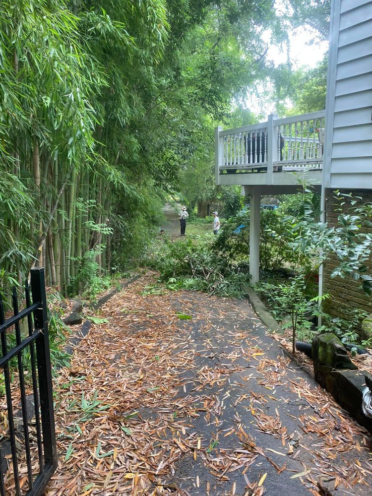 Mulching for America's Top Pick Lawn & Landscaping in Gastonia, NC