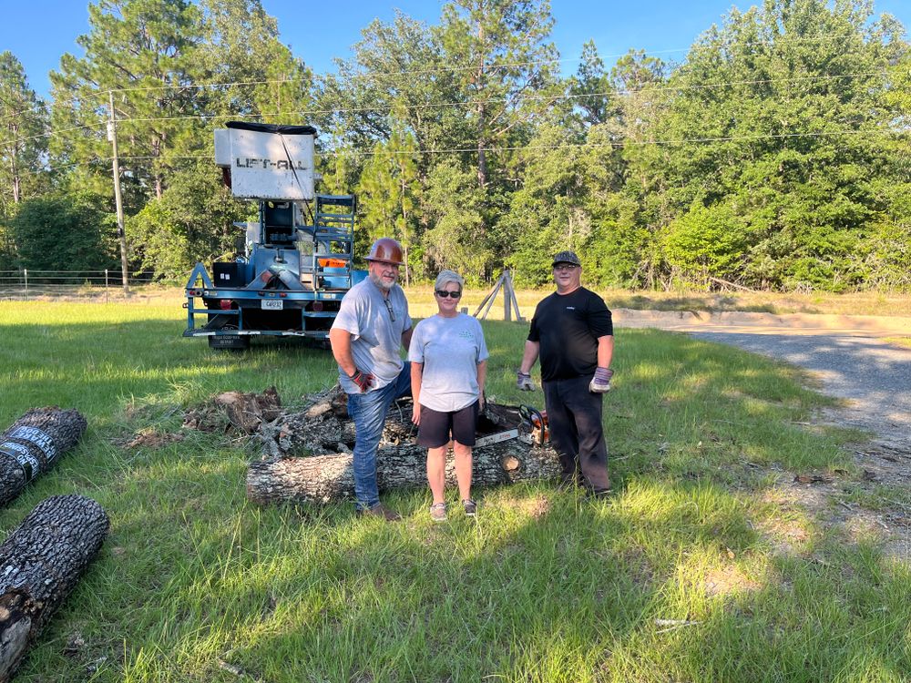 All Photos for T N L - Tree and Land Service in Reynolds, GA