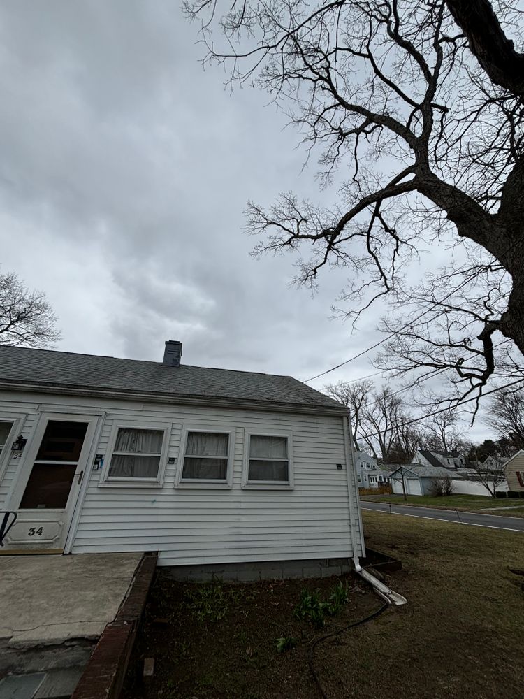 All Photos for T's Trees in Albany, NY