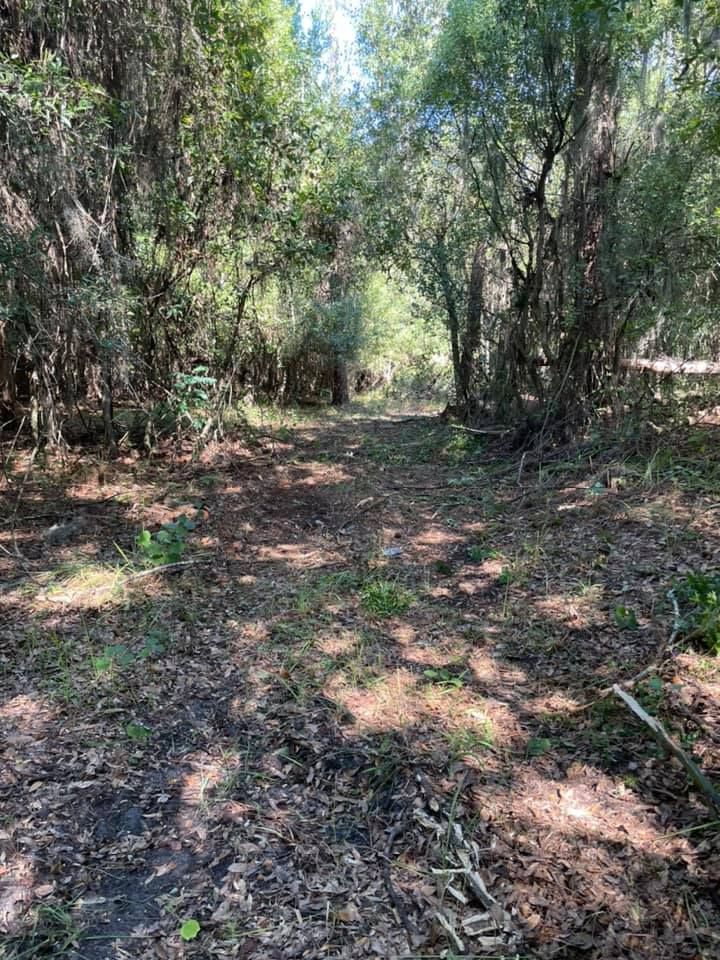 All Photos for Florida Site and Septic in Lakeland, FL