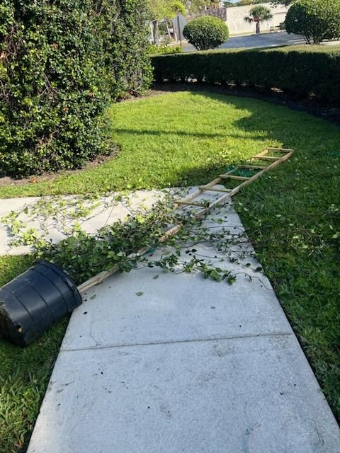 All Photos for Rey Landscaping & Lawn service LLC in West Palm Beach,  FL