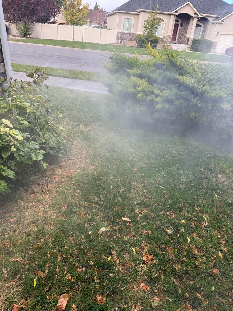 All Photos for Platinum Lawn Service in Santaquin, UT