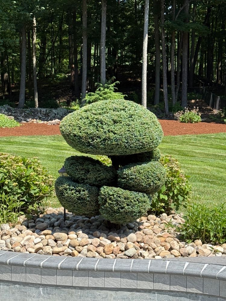 Enhance your property's curb appeal with our expert shrub trimming service. We ensure precise cuts, healthy growth, and a polished look for your landscape, boosting both beauty and property value effortlessly. for Blades of Glory LLC in Cheshire, CT