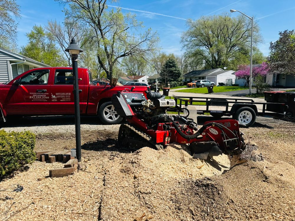 All Photos for Manny's Cleaning,Lawn Care & Snow Removal Services in Champaign, IL