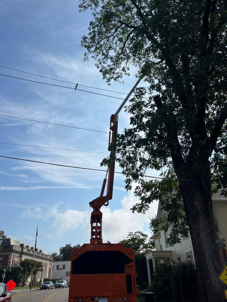 All Photos for Brocks Tree Service LLC in Rogersville, TN