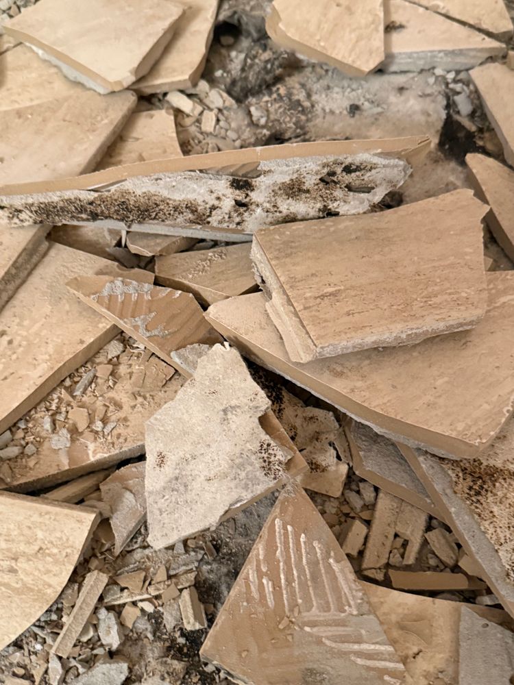 All Photos for N&D Restoration Services When Disaster Attacks, We Come In in Cape Coral,  FL