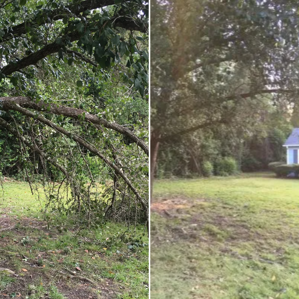 All Photos for Tucker's Tree Service and Stump Grinding in Lugoff, SC