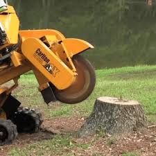 Other Service for Mark Howard & Sons Logging & Excavating in Athens, TN