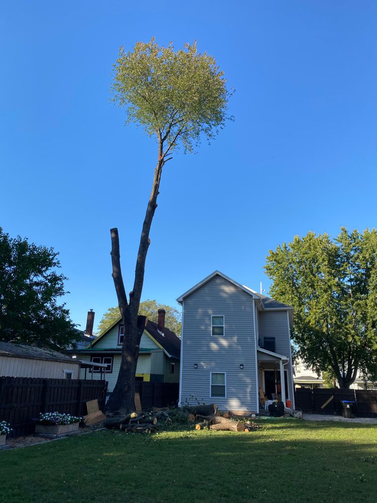 All Photos for Houtz Tree Service in Lexington, KY