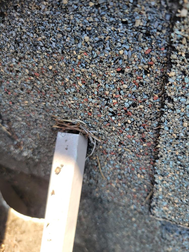 All Photos for GVL Renovations in Greenville, SC