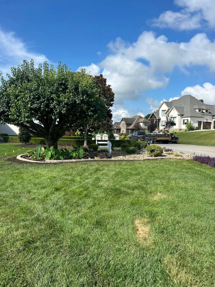 Transform your outdoor space with our professional landscape design service, ensuring a beautiful, functional environment tailored to your style and needs through expert planning and creative solutions. for MountainScapes in Vonore, TN