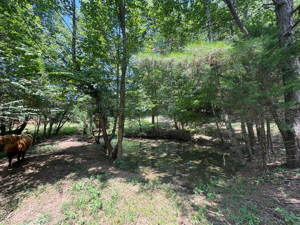 All Photos for F&CO Excavation in Clinton, TN