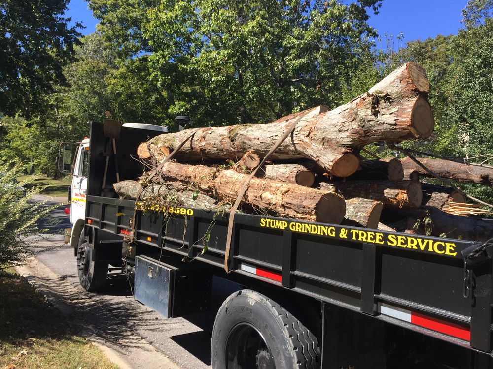 All Photos for M & J Tree Service & Stump Grinding in Auburn, GA