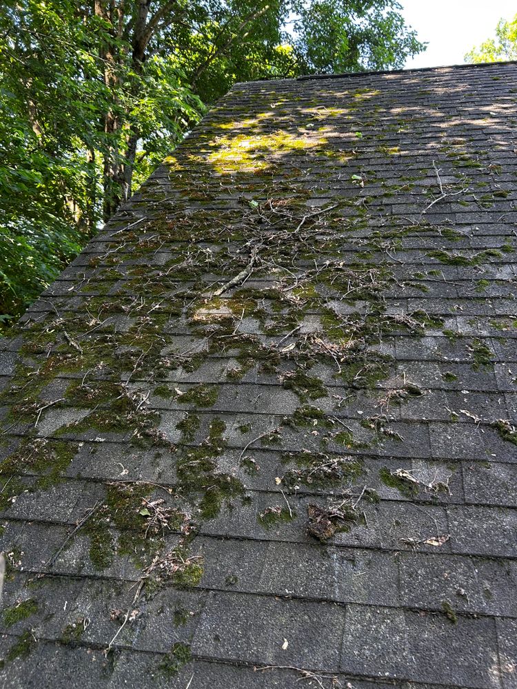 All Photos for Buckeye Roof Rejuvenate in Columbus, Ohio