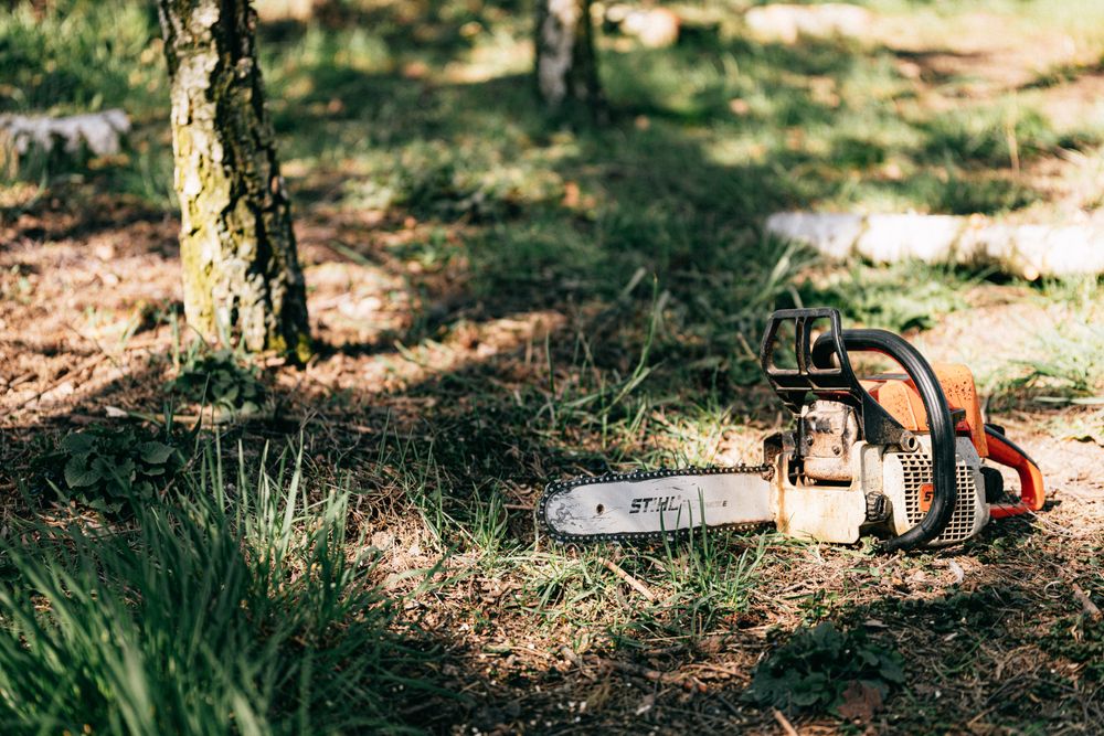 Our Tree Removal service helps homeowners safely remove unwanted or hazardous trees from their property, ensuring the safety and enhancing the aesthetics of your surroundings. for Oakwood Tree Removal LLC in Oak Creek,  WI