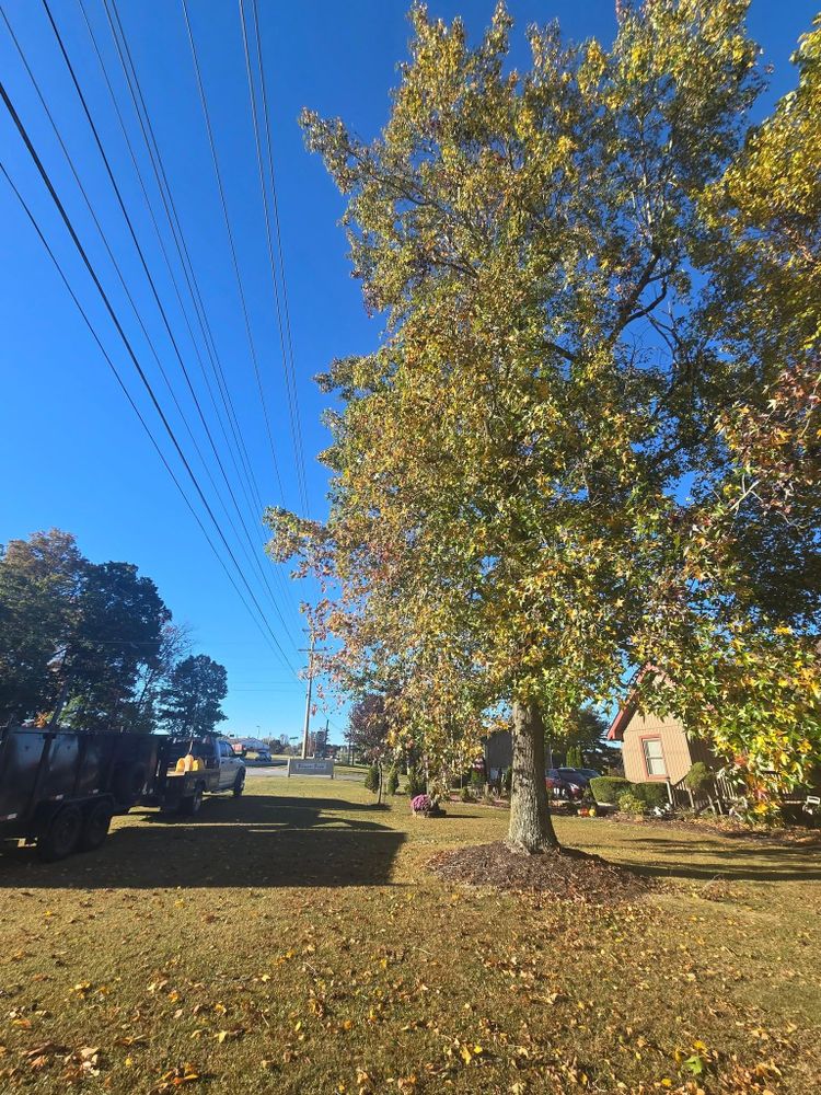 All Photos for M&L Lumber and Excavating in Jonesborough, TN