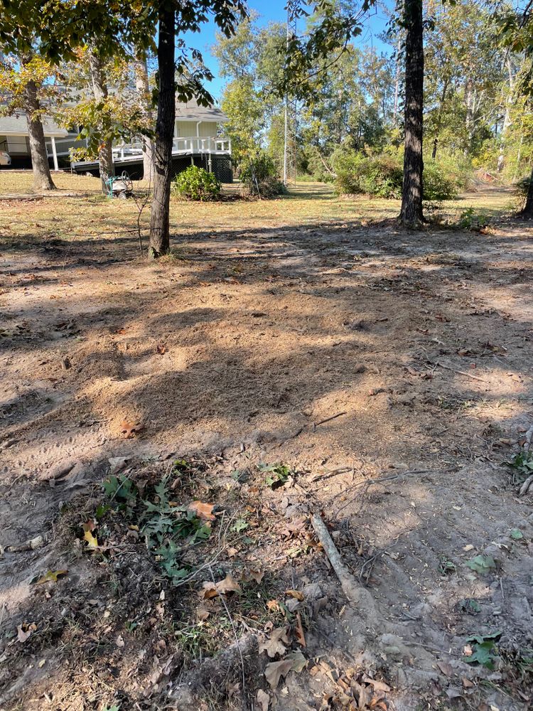 All Photos for MJB’s Stump Grinding LLC in Tennille, GA
