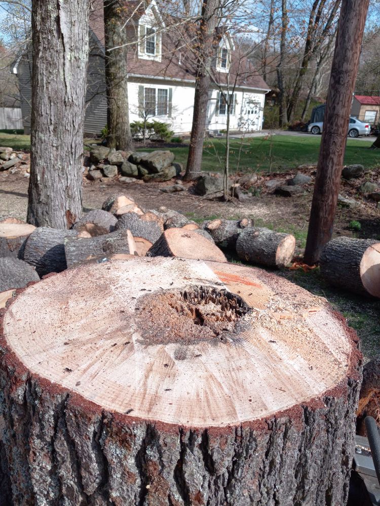 All Photos for Redemption Tree & Landscape LLC  in Oakham, MA