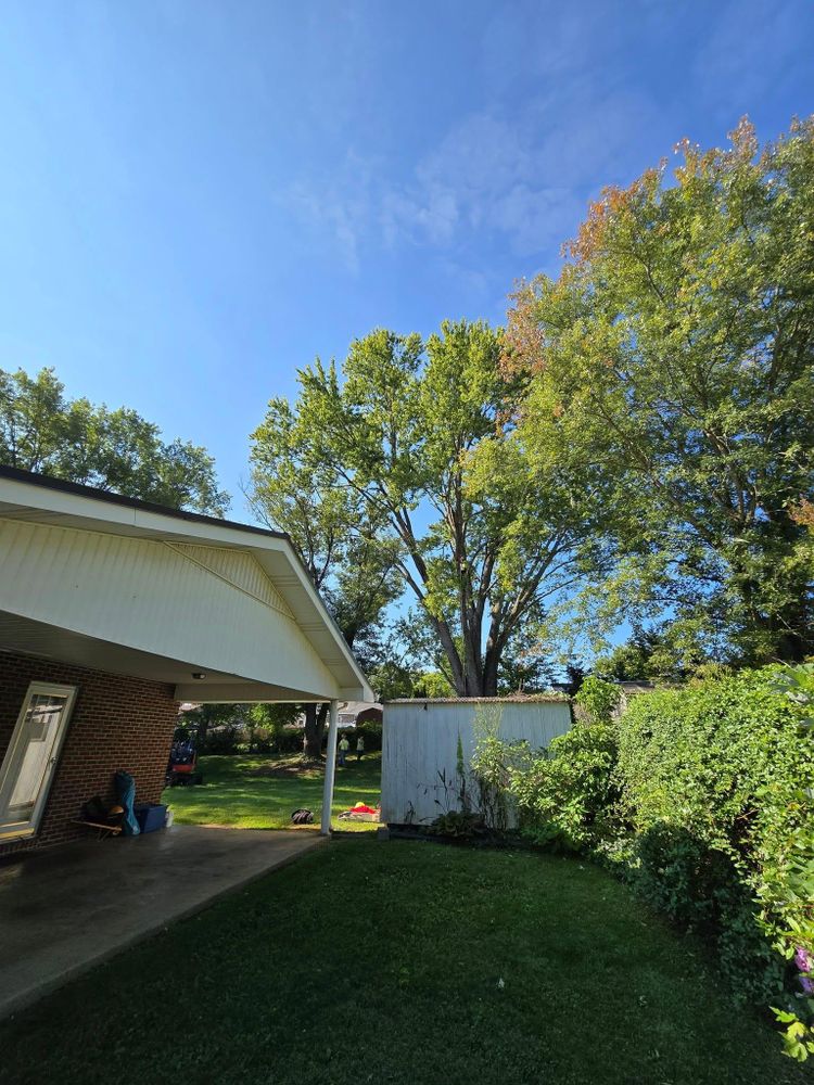 All Photos for M&L Lumber and Excavating in Jonesborough, TN