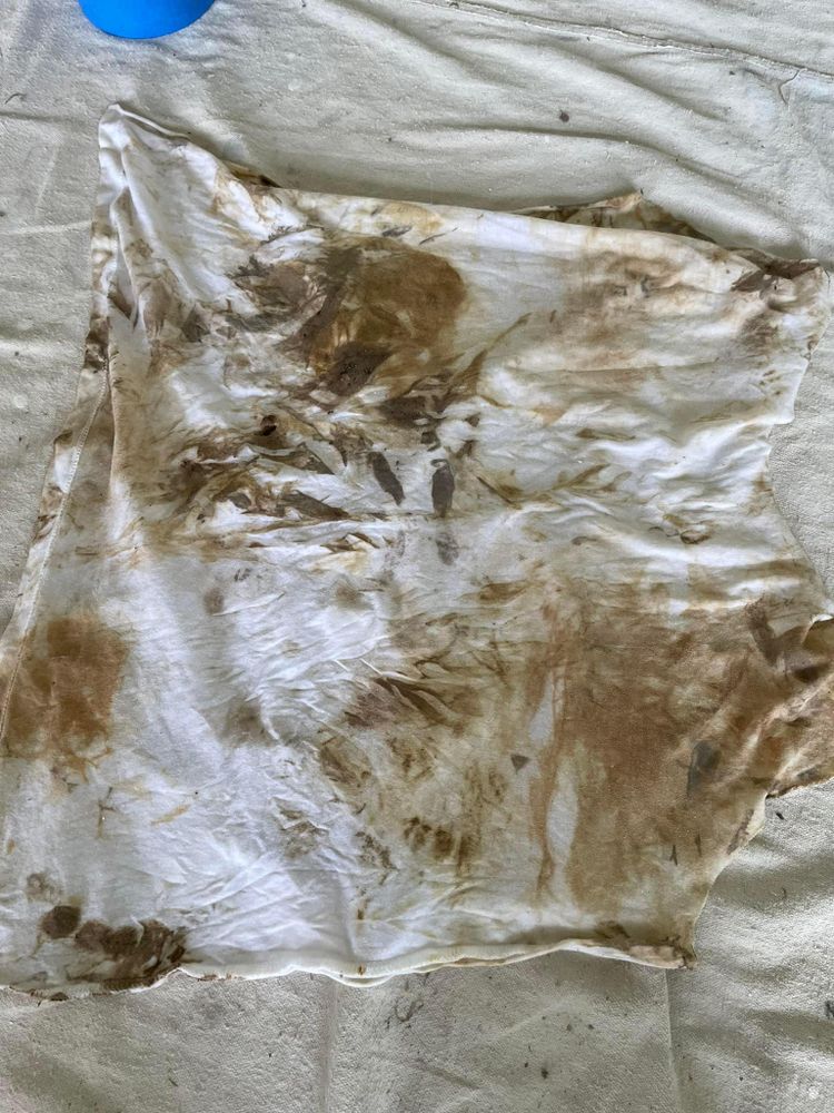 All Photos for Clavin Painting in Fort Dodge, Iowa