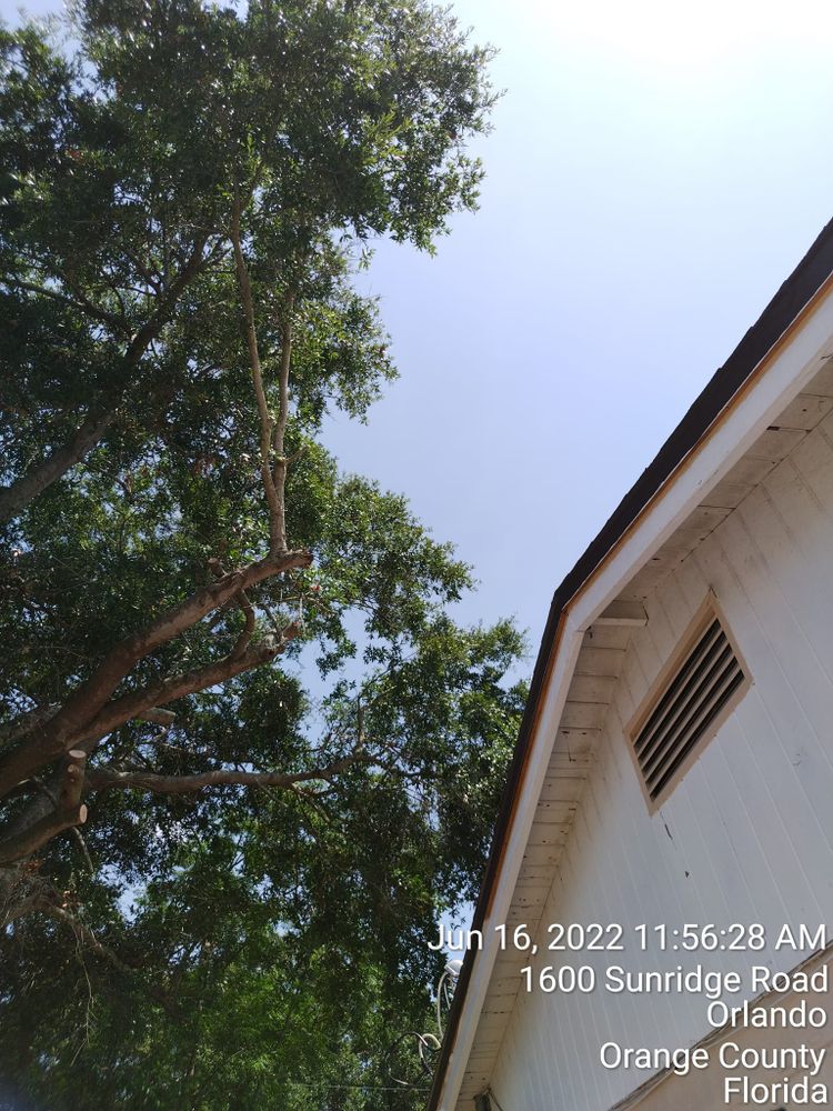 Tree Removal for Tru Tree Service  in Ocala , FL 