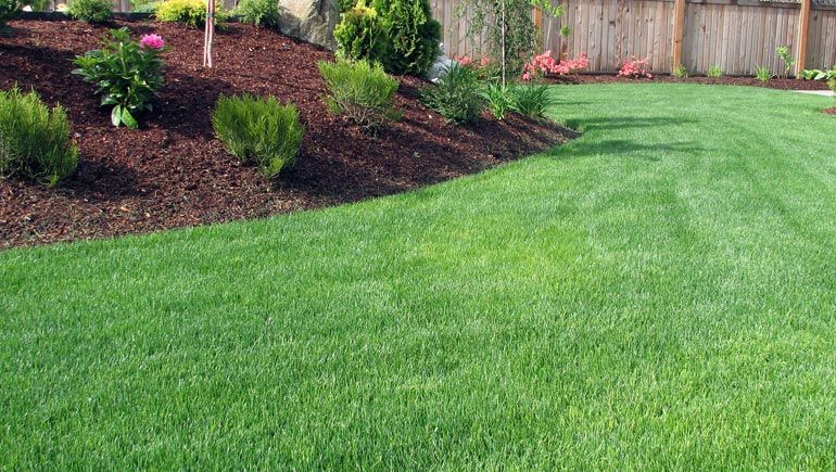 Our Lawn Maintenance service includes regular mowing, edging, weeding, and fertilizing to keep your property looking neat and attractive year-round. Let us handle the outdoor work for you! for Grace Property Management in Wauwatosa, WI