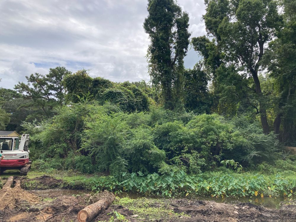 Land clearing for CW Earthworks, LLC in Charleston, South Carolina