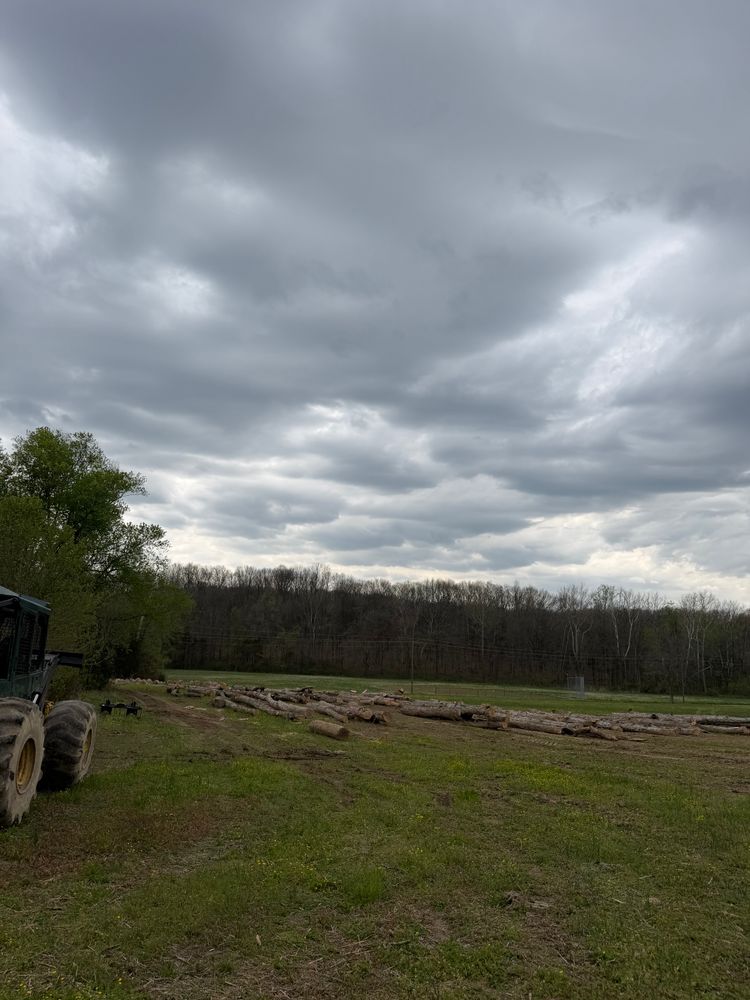 All Photos for Kadin’s Tree Service in North Vernon, IN
