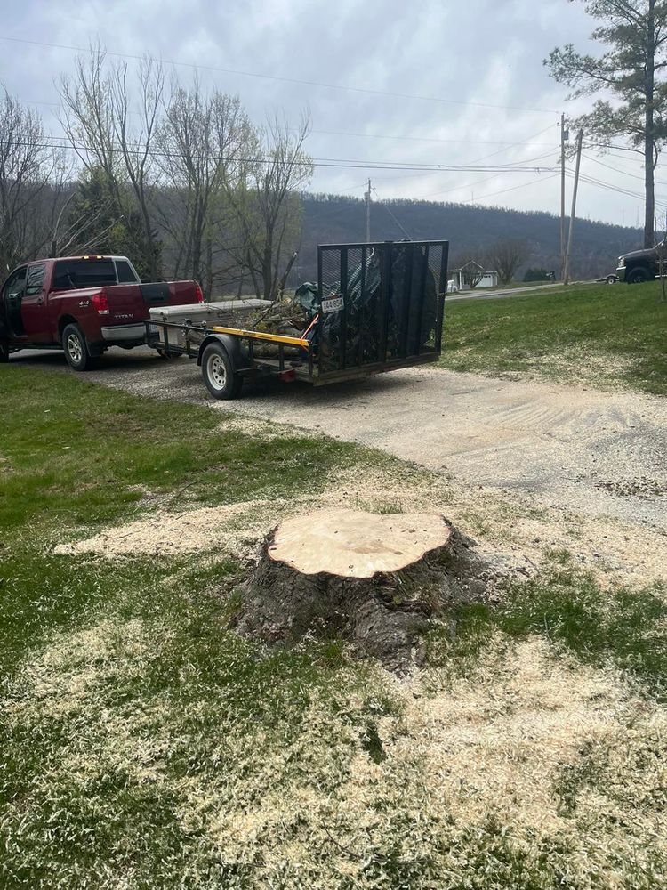 Our professional stump removal service efficiently eliminates unsightly stumps, enhancing your landscape’s beauty and safety. Trust our experts to carefully restore your yard with minimal disruption and complete satisfaction guaranteed. for Scott’s Tree Service, LLC in Winchester, VA