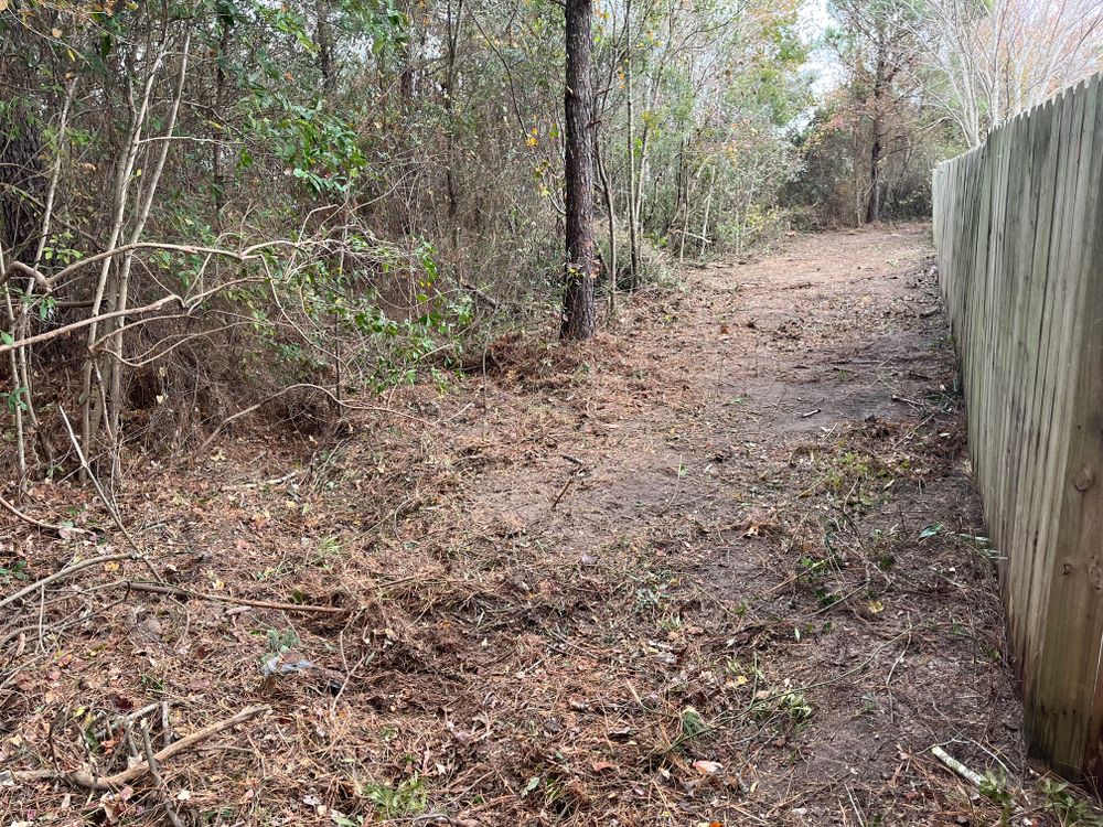 Brush Cutting for A&A Property Maintenance in Jacksonville, NC