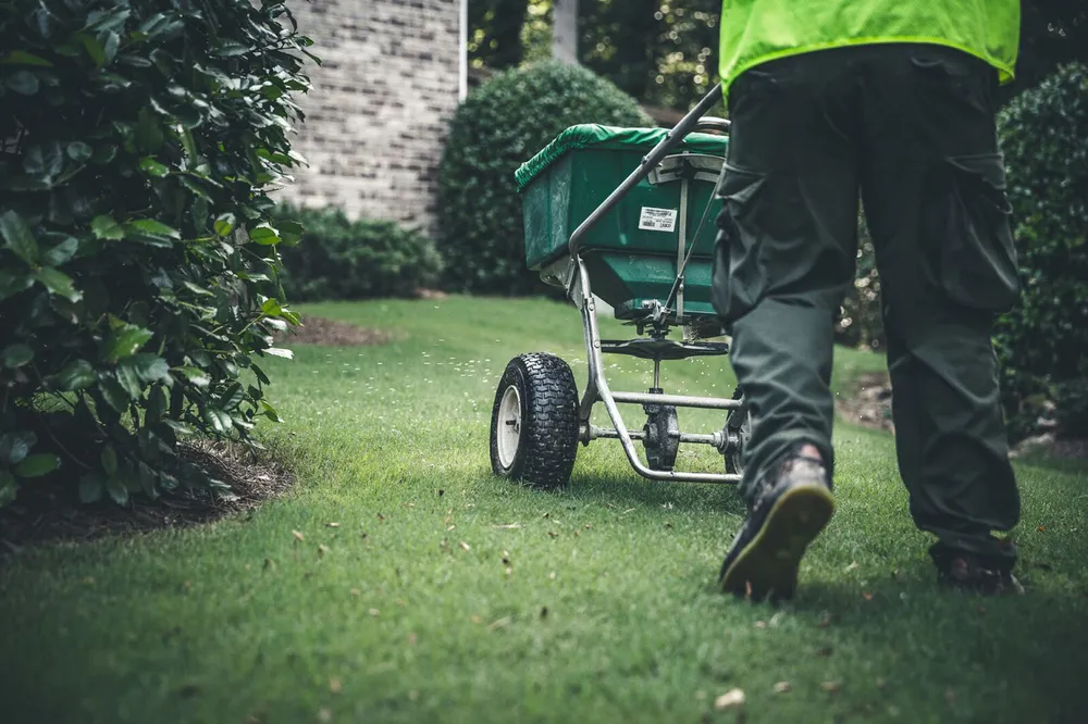 Our annual lawn fertilization program includes at least 6 scheduled applications consisting of pre-emergents, fertilizers, insecticides, and fungicides, with core aeration available to promote healthy, long-lasting turf. for New Creation Landscaping in Myrtle Beach, SC