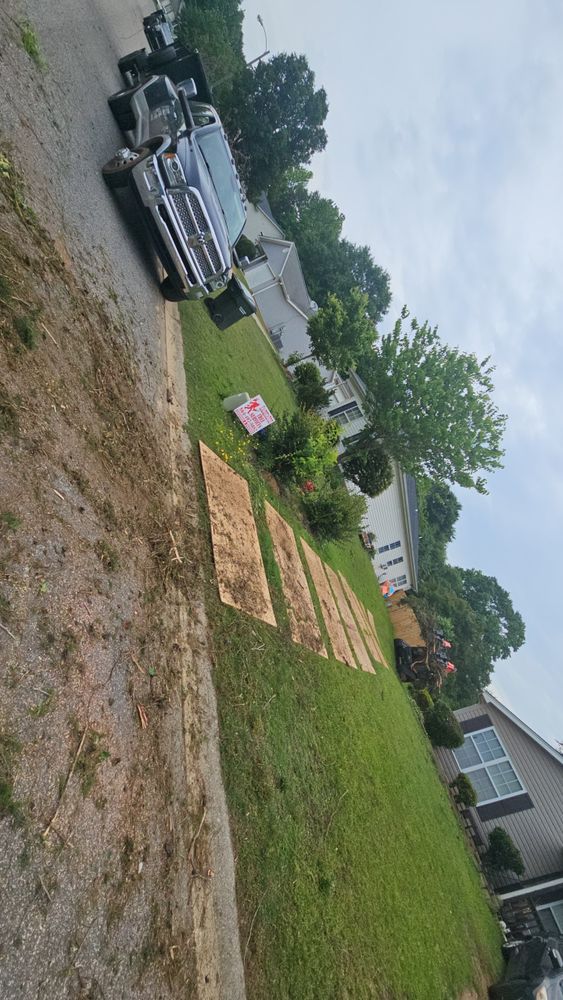 All Photos for Sasquatch Tree Services LLC in Spartanburg, SC