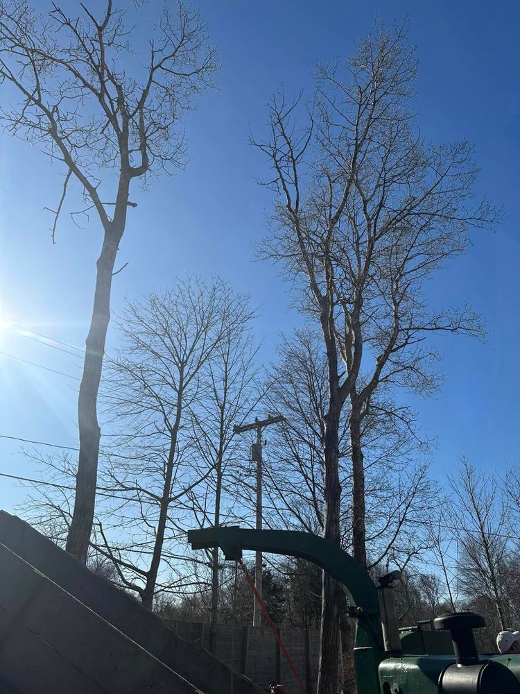 All Photos for Silver City Tree and Landscape in Taunton, MA