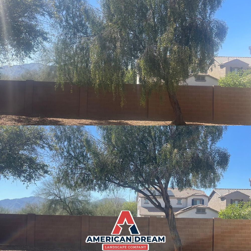 All Photos for American Dream Landscape Company in Surprise, AZ